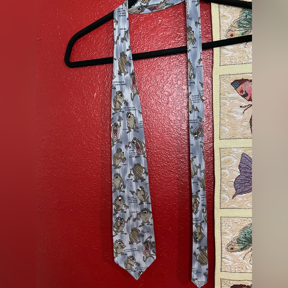 Looney Tunes Taz Sketch Instruction Tie